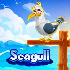 Seagull