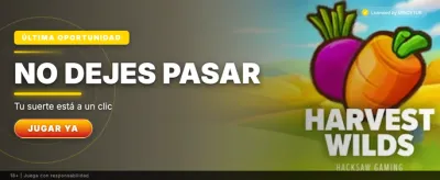 Experiencia de apuestas deportivas premium en Aciertala